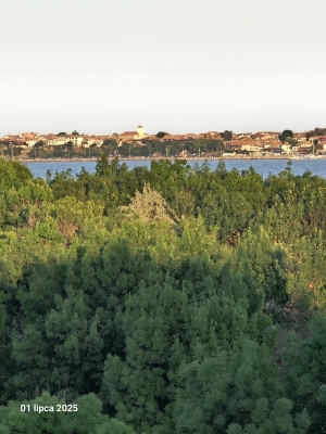 KOMFORTOWY APARTAMENT 300 M OD MORZA