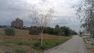 Apartament z jedną sypialnią bez opłat