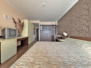 Luksusowe studio z widokiem na morze w Świętym Własie